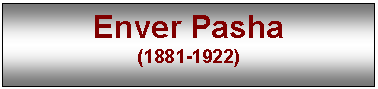 Text Box: Enver Pasha
(1881-1922)

