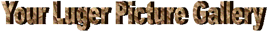 Your Luger Picture Gallery